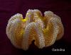 ","biser.m-sk.ru